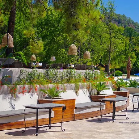Отель The Bay Club